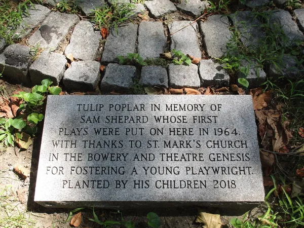 Tulip Poplar in memory of Sam Shepard at St. Mark’s Church in-the-Bowery 2