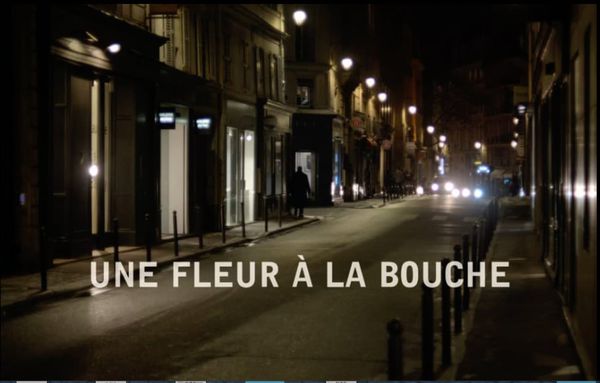 Éric Baudelaire on Une Fleur À La Bouche and When There Is No More Music to Write, and Other Roman Stories: “These two flower stories were sort of overlapping in my mind subconsciously, but it wasn’t a conscious thing.”