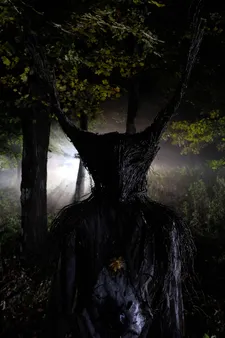 A different kind of darkness
