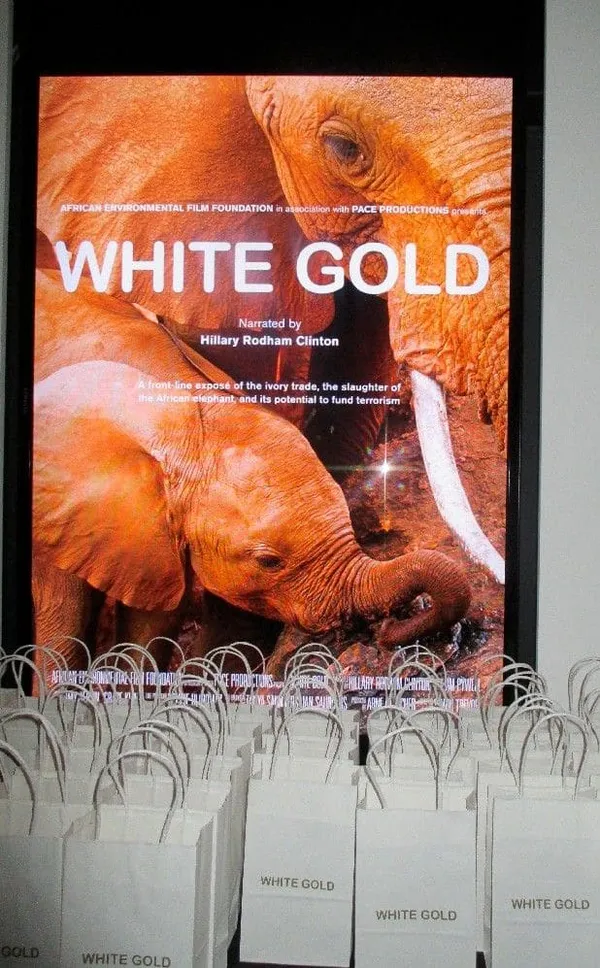 White Gold at MoMA