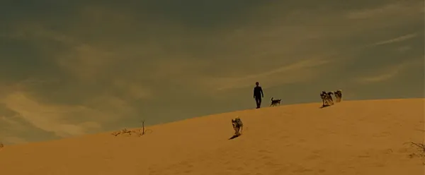 Huskies with Willem Dafoe in Siberia