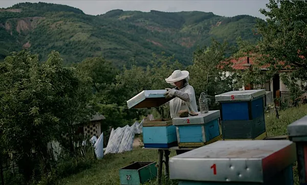 Yllka Gashi with the bees in Hive