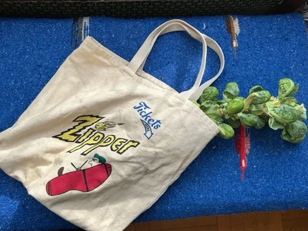 Zipper tote bag