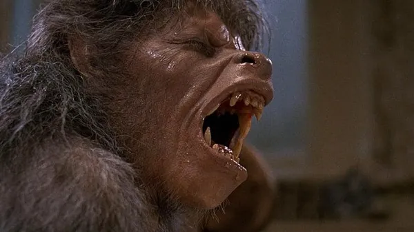 An American Werewolf In London transformation scene