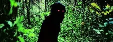 Uncle Boonmee Who Can Recall His Past Lives