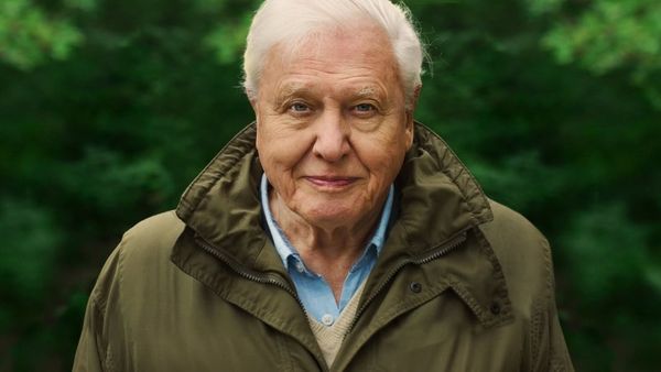 David Attenborough: A Life On Our Planet