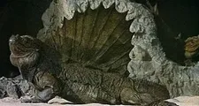Journey To The Centre Of The Earth (1959)