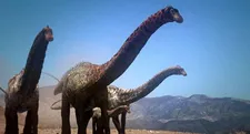 Dinotasia