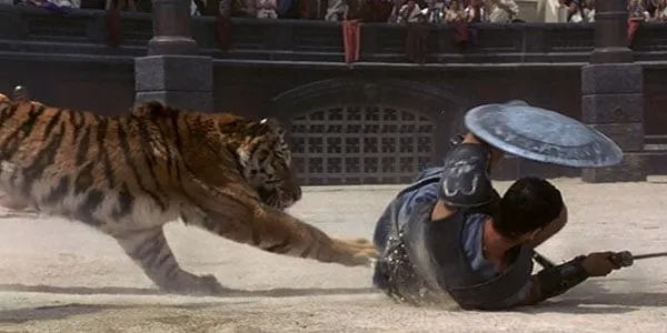Gladiator - tiger