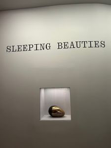 Sleeping Beauties: Reawakening Fashion at The Metropolitan Museum of Art Costume Institute