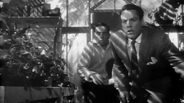 Invasion Of The Body Snatchers