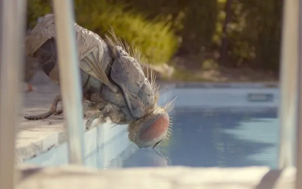 Mandibles pool scene