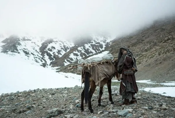 Mimosas 3