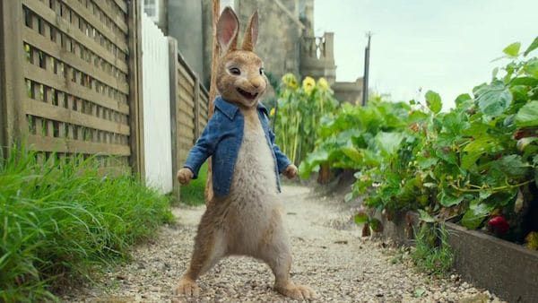 Peter Rabbit