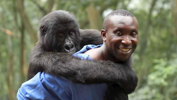 Virunga