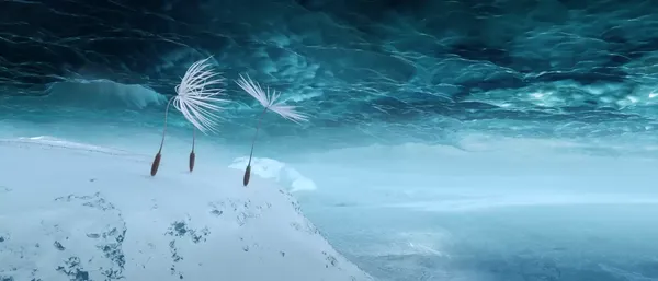 Dandelion's Odyssey