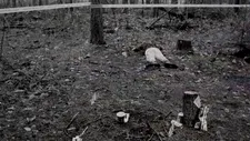 A crime scene waiting to happen?