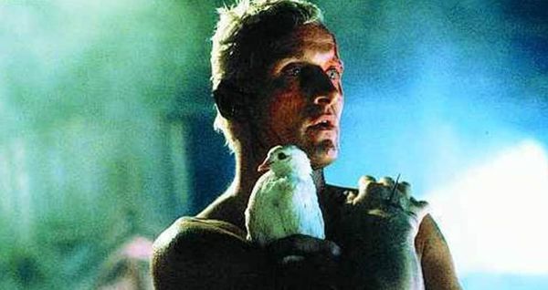 Rutger Hauer in Blade Runner