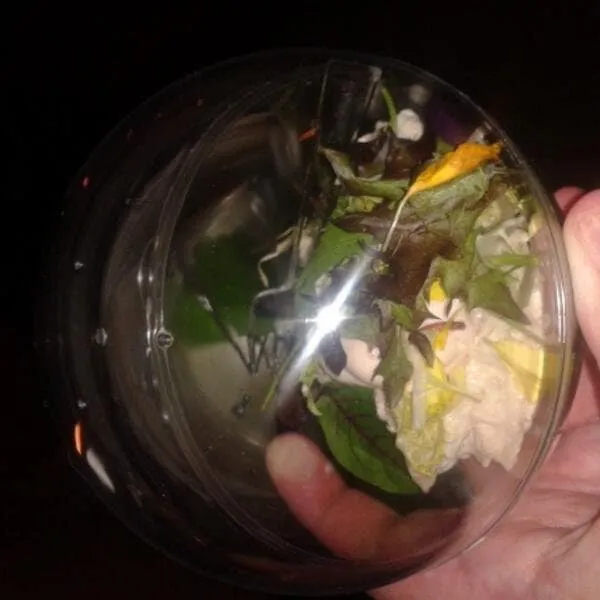 San Sebastian salad orb