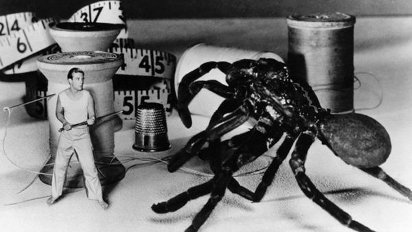 The Incredible Shrinking Man