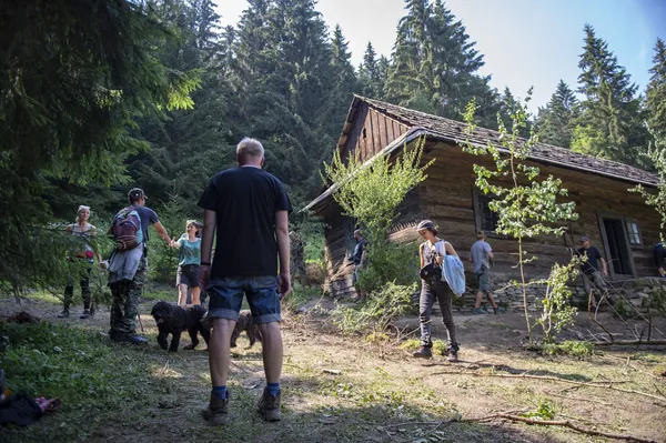 The Nightsiren cabin by day