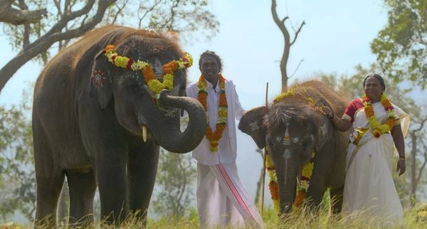 The Elephant Whisperers