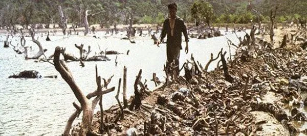 The Killing Fields