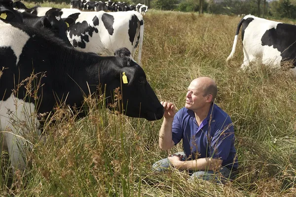 The Moo Man 4