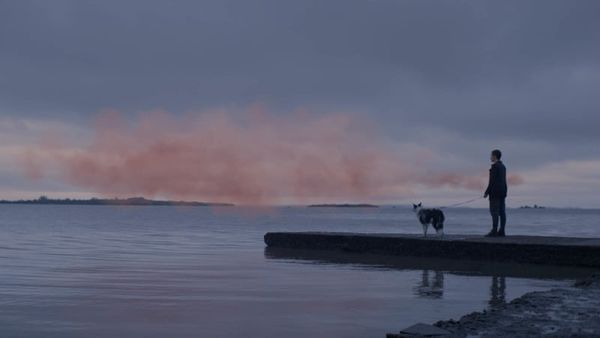 The Pink Cloud