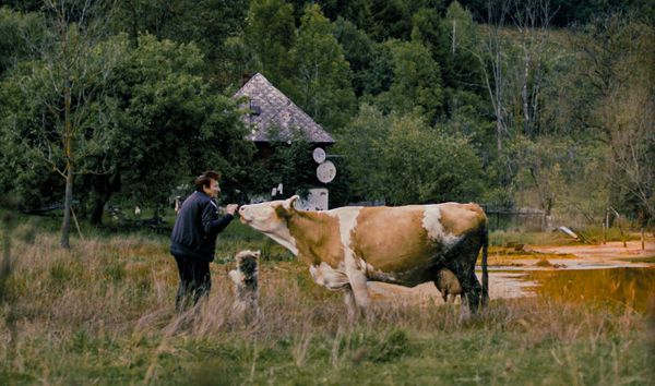 Valeria and her cow Păuna and dog Duracell. Matthäus Wörle: 'After a few days, she felt that she could do whatever, whatever she wanted'