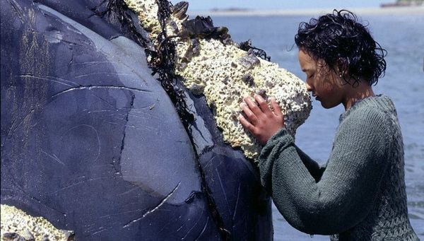 Whale Rider