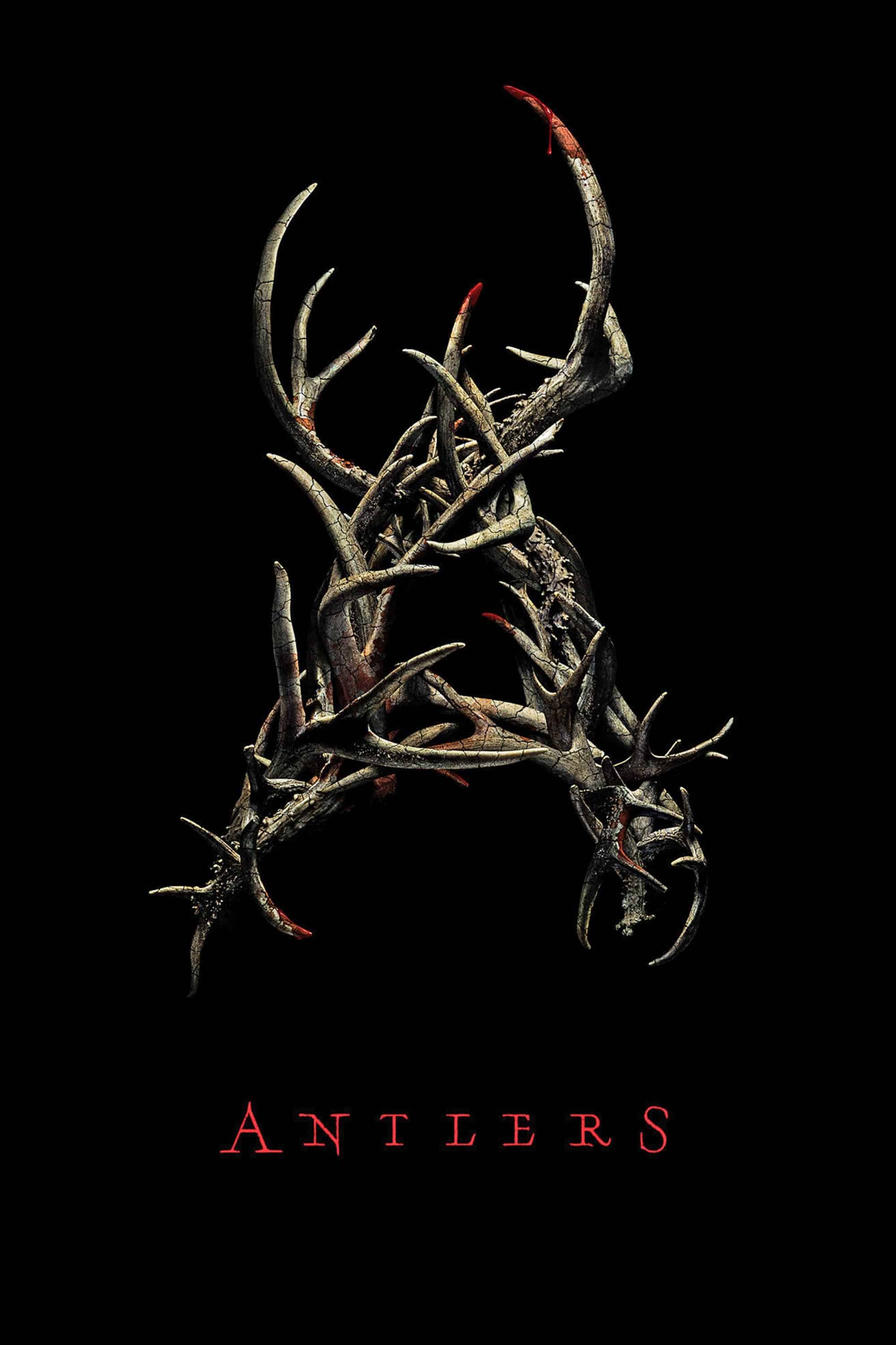 Antlers packshot