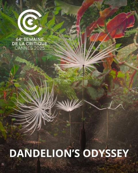 Dandelion's Odyssey packshot