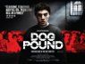 Dog Pound packshot