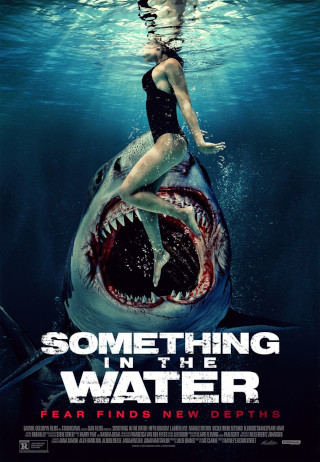 Something In The Water packshot